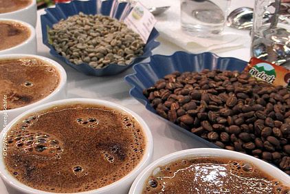 Bei einer professionellen Kaffeeverkostung konnten die unterschiedlichen Kaffee-Varietäten aus den Projektgebieten getestet und verglichen werden. ©OroVerde