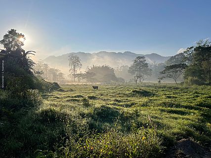 Sonnenaufgang über einer Wieser in Guatemala 