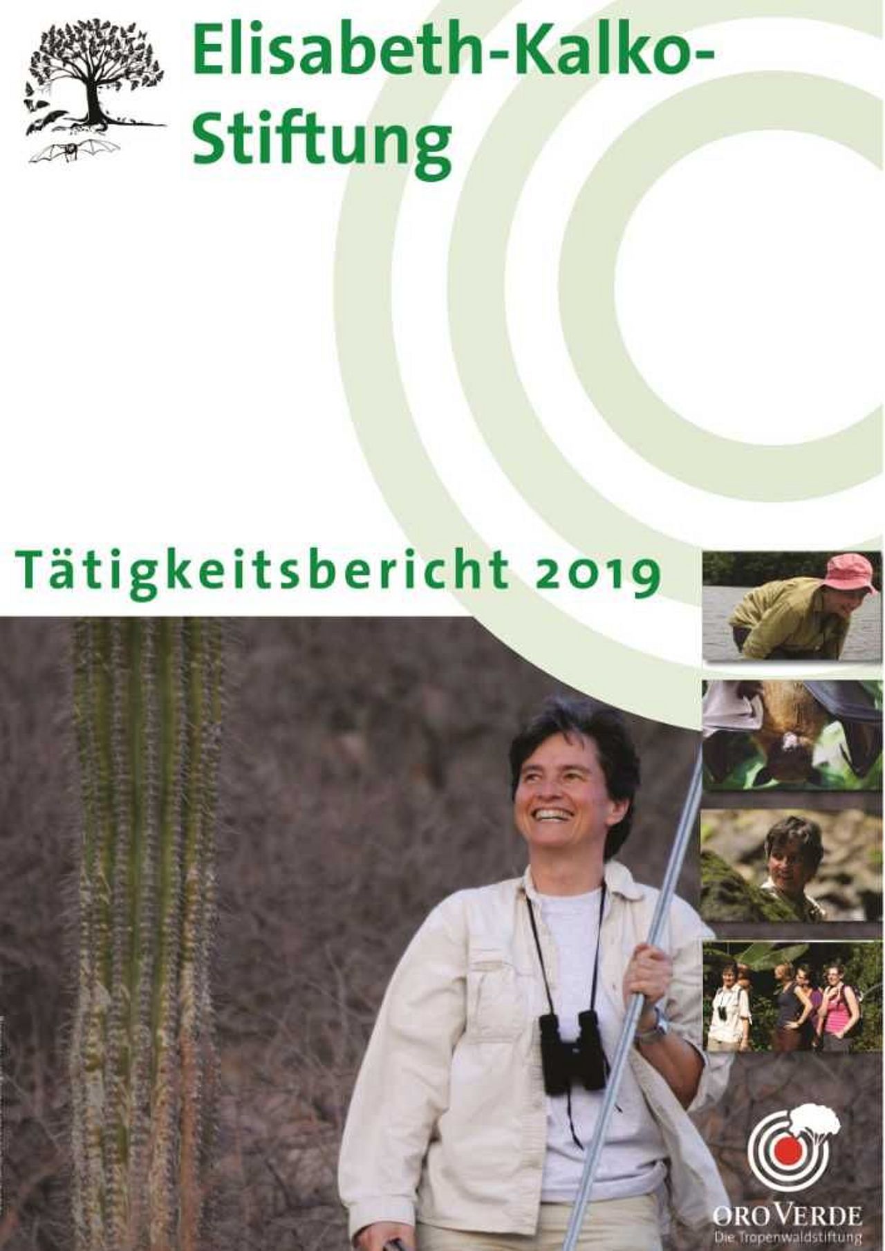 Jahresbericht 2019 der Elisabeth-Kalko-Stiftung