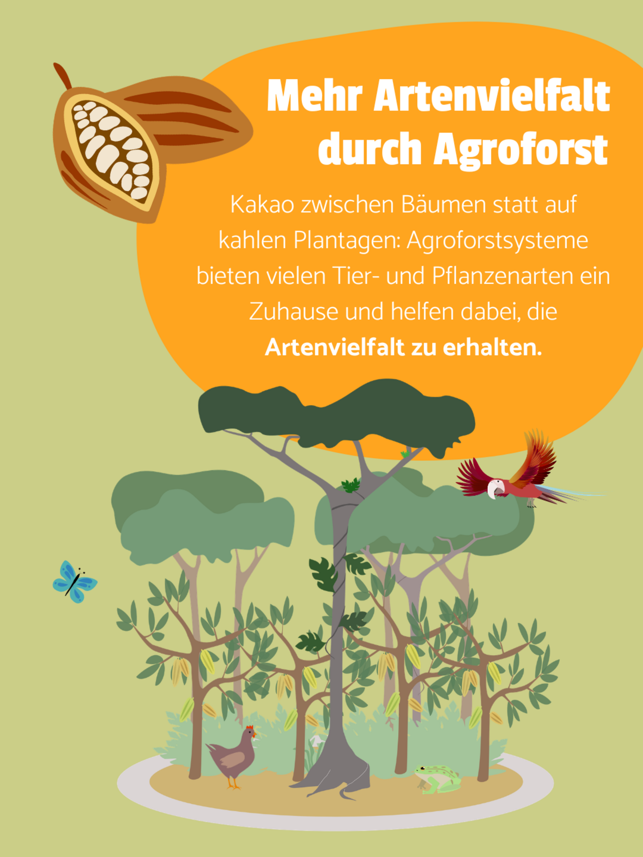 Das Bild zeigt die Illustration eines Agroforstsystems wo Kakaobäume unter großen Bäumen wachsen. In einer Bubble steht: "Kakao zwischen Bäumen statt auf kahlen Plantagen: Agroforstsysteme bieten vielen Tier- und Pflanzenarten ein Zuhause und helfen dabei, die Artenvielfalt zu erhalten."