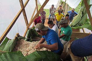 Bauern durchmischen die Kakaobohnen für die Fermentierung: Projekt Waldgewinn Guatemala. ©OroVerde