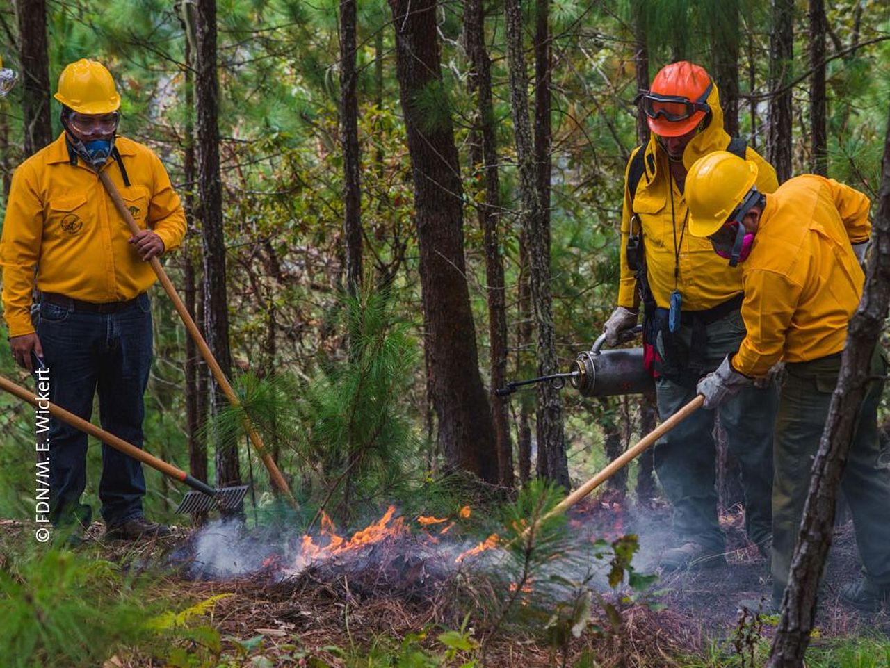 Ausrüstung für den Brandschutz ©FDN – M. E. Wickert