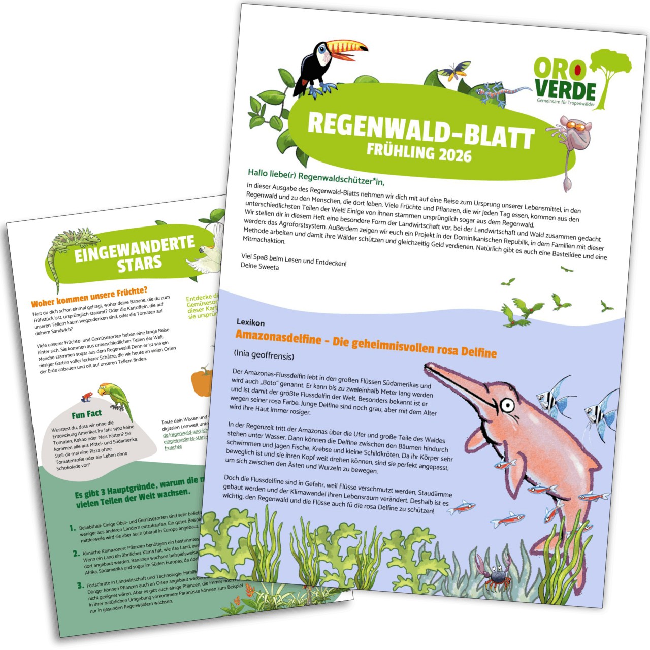 Regenwaldblatt Frühjahr 2026 Regenwaldblatt Frühjahr 2026