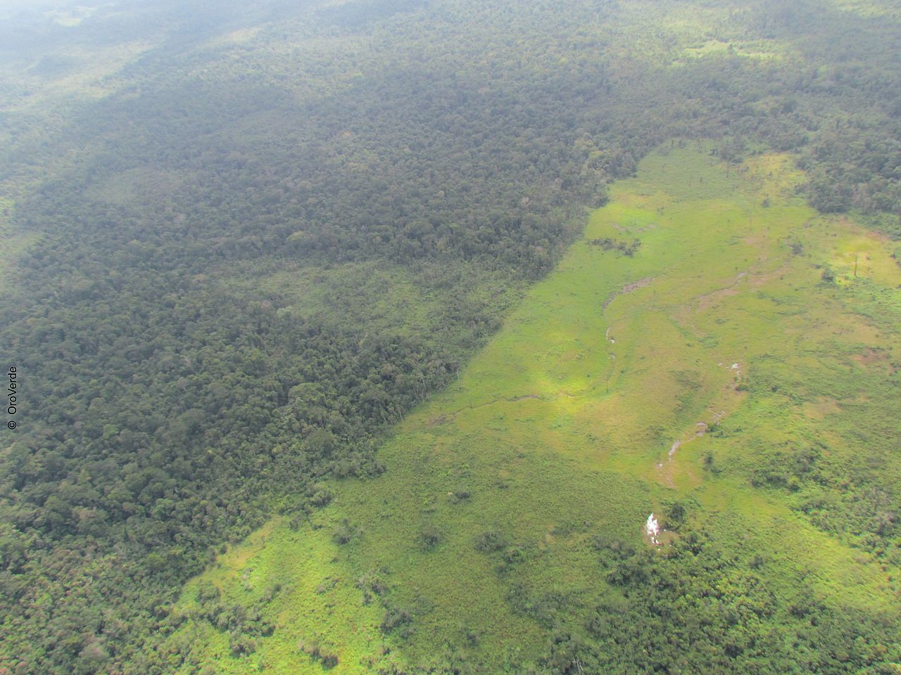 Landnutzungsänderung aus der Vogelperspektive, links noch intakter Wald, rechts eine landwirtschaftliche Nutzfläche