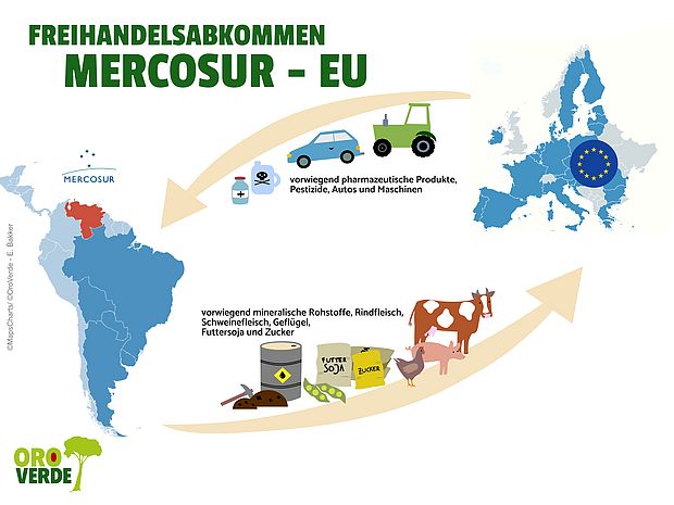 Infografik zum Freihandelsabkommen zwischen EU und Mercosur
