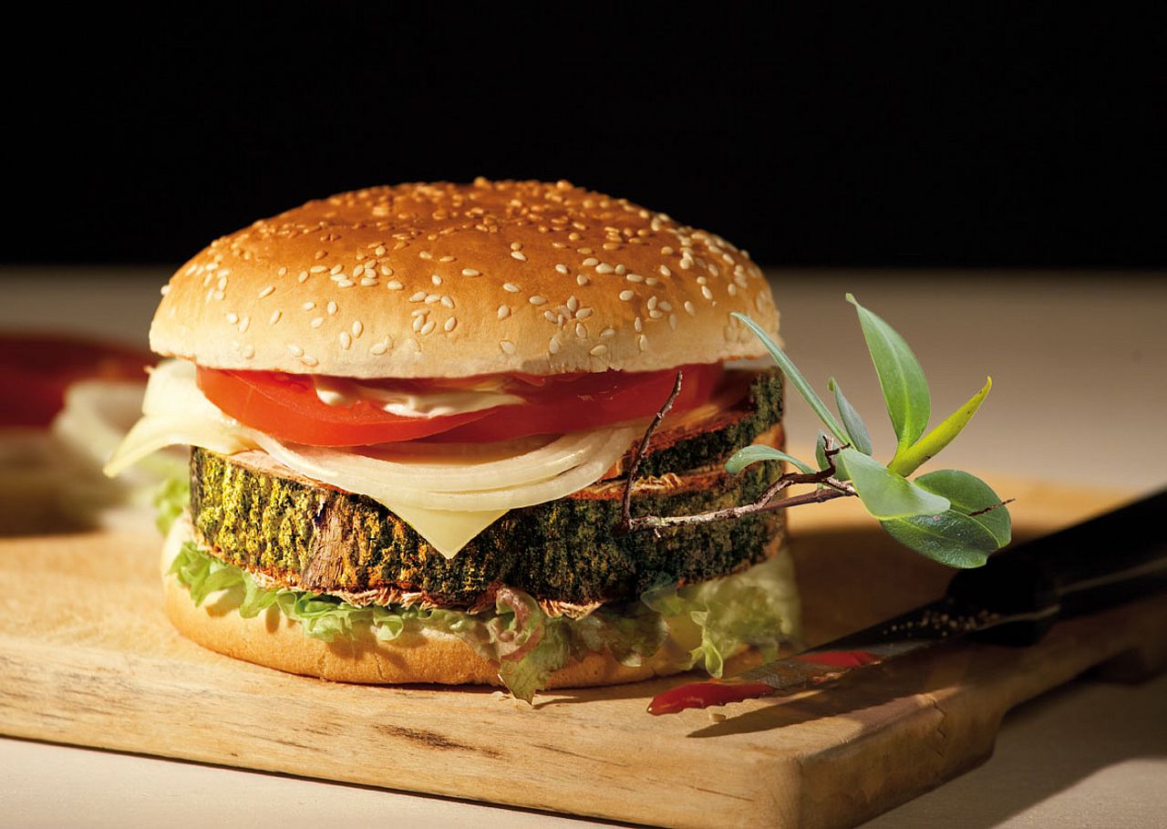 Publikationen zu Fleisch und Soja Fleisch, Publikationen