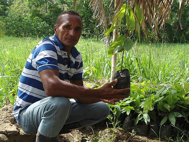 Baumsetzling in einer Baumschule in Venezuela © Sabine Merle
