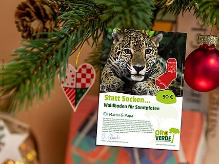 Statt Socken Walboden für Samtpfoten unterm Weihnachtsbaum