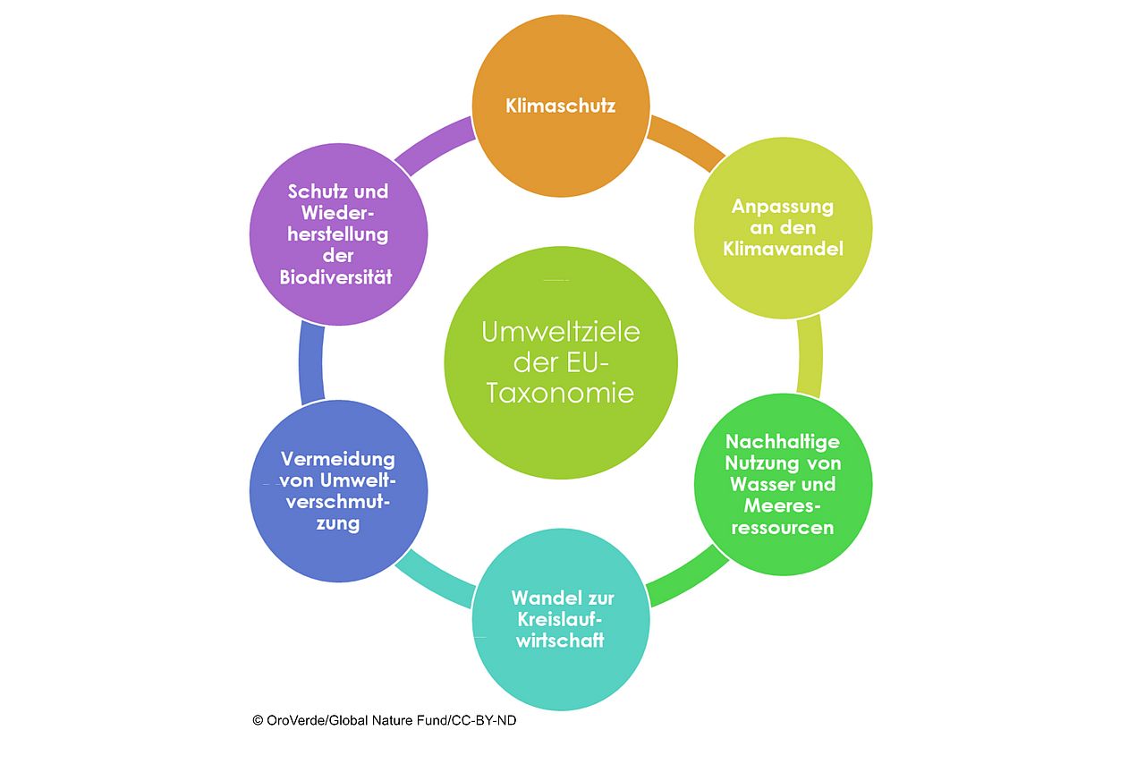 Umweltziele der EU-Taxonomie. ©OroVerde/ Quelle: Global Nature Fund/ CC-BY-ND