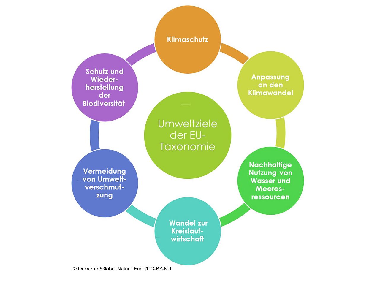 Umweltziele der EU-Taxonomie. ©OroVerde/ Quelle: Global Nature Fund/ CC-BY-ND