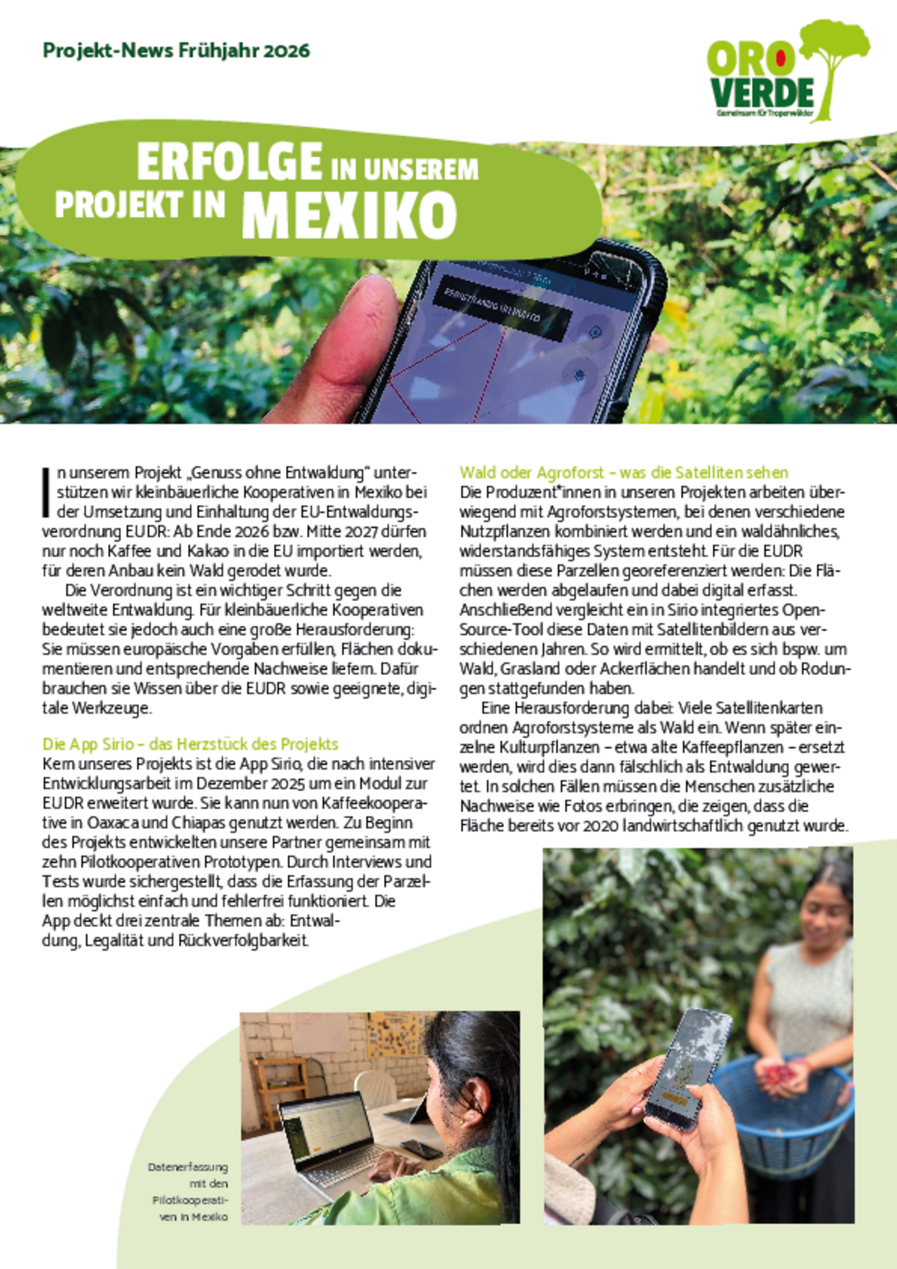 Fortschrittsbericht Mexiko 2026