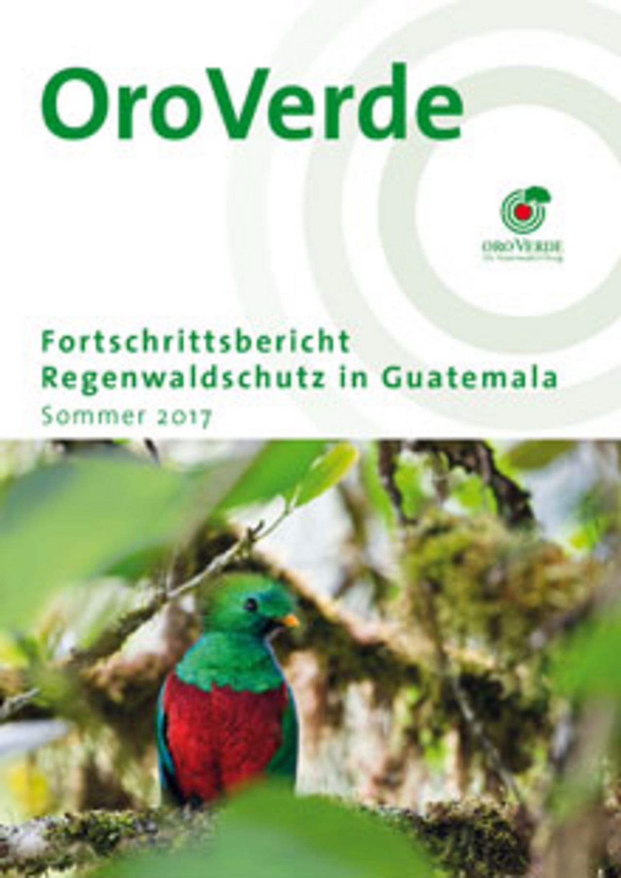Projektfortschrittsbericht Guatemala 2017 Regenwaldschutz