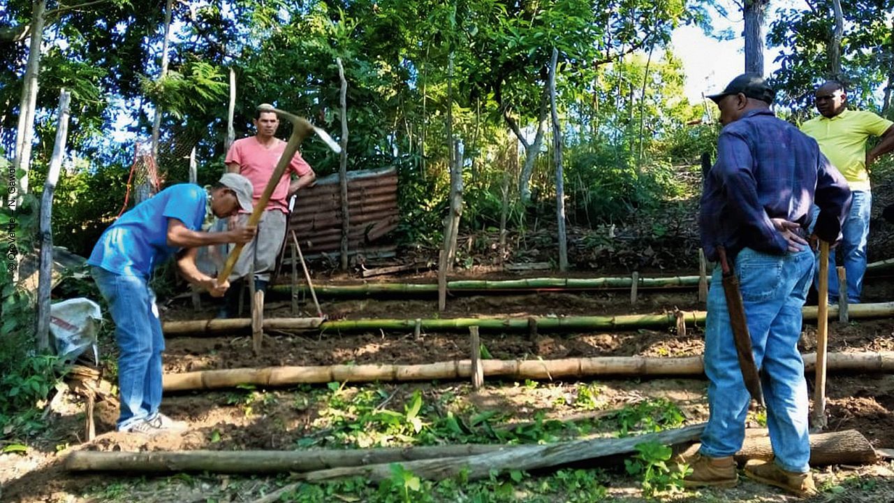 Männer legen einen naturnahen Waldgarten an©OroVerde – N. Gawol