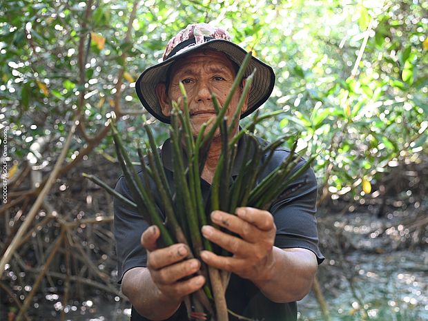 Ein Mann hält Mangroven-Setzlinge in der Hand ©CODDEFFAGOLF - Onan Osorto 