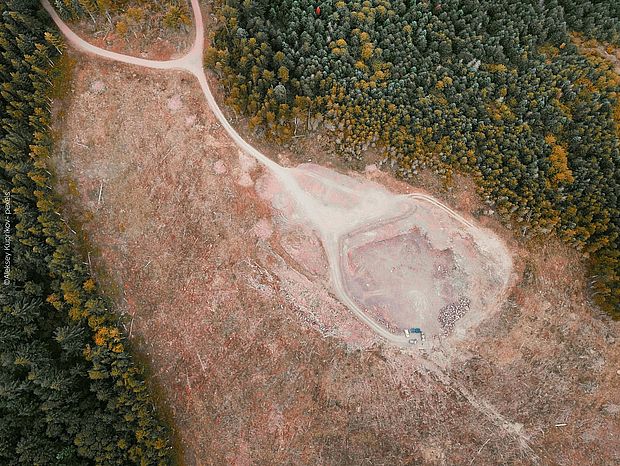 Luftbild einer abgeholzten Waldfläche mit unbefestigter Straße, umgeben von dichtem Nadelwald und sichtbaren Holzstapeln sowie Fahrzeugen.