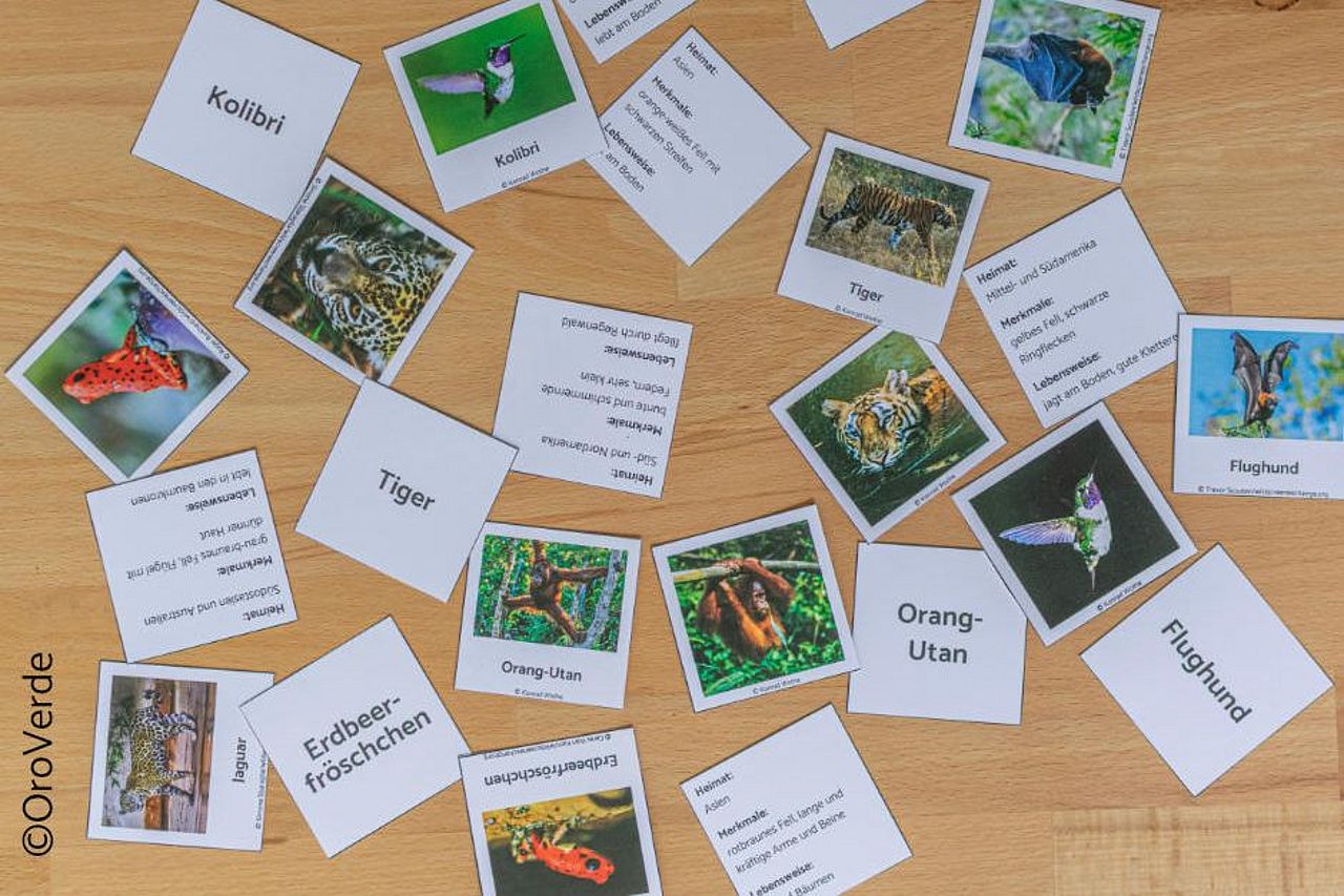 Memory-Spiel für inklusiven Unterricht ©OroVerde