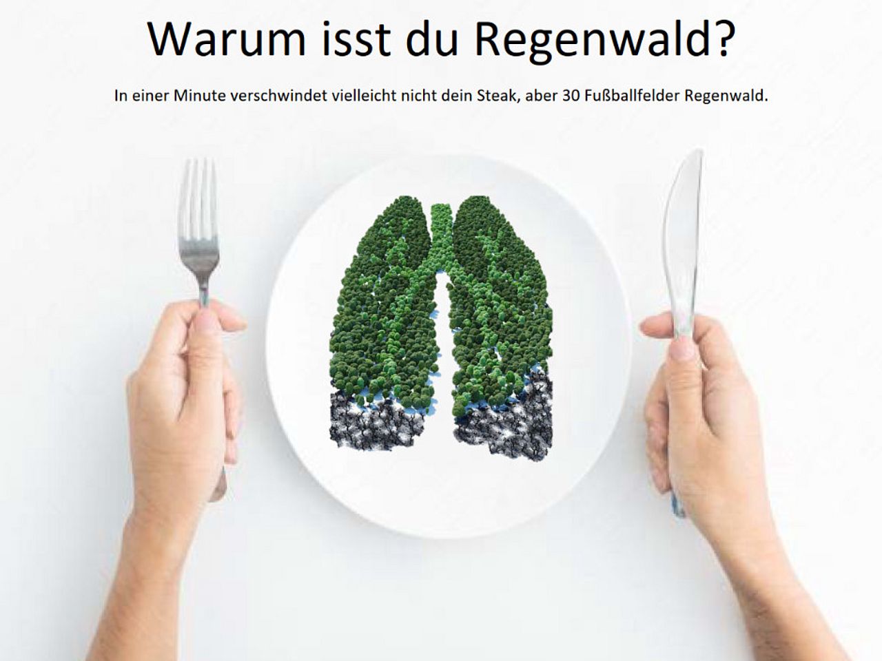 „Warum isst du Regenwald?" von Sonya E., Meike E. & Frederic W. von der Carl-Engler-Schule Karlsruhe