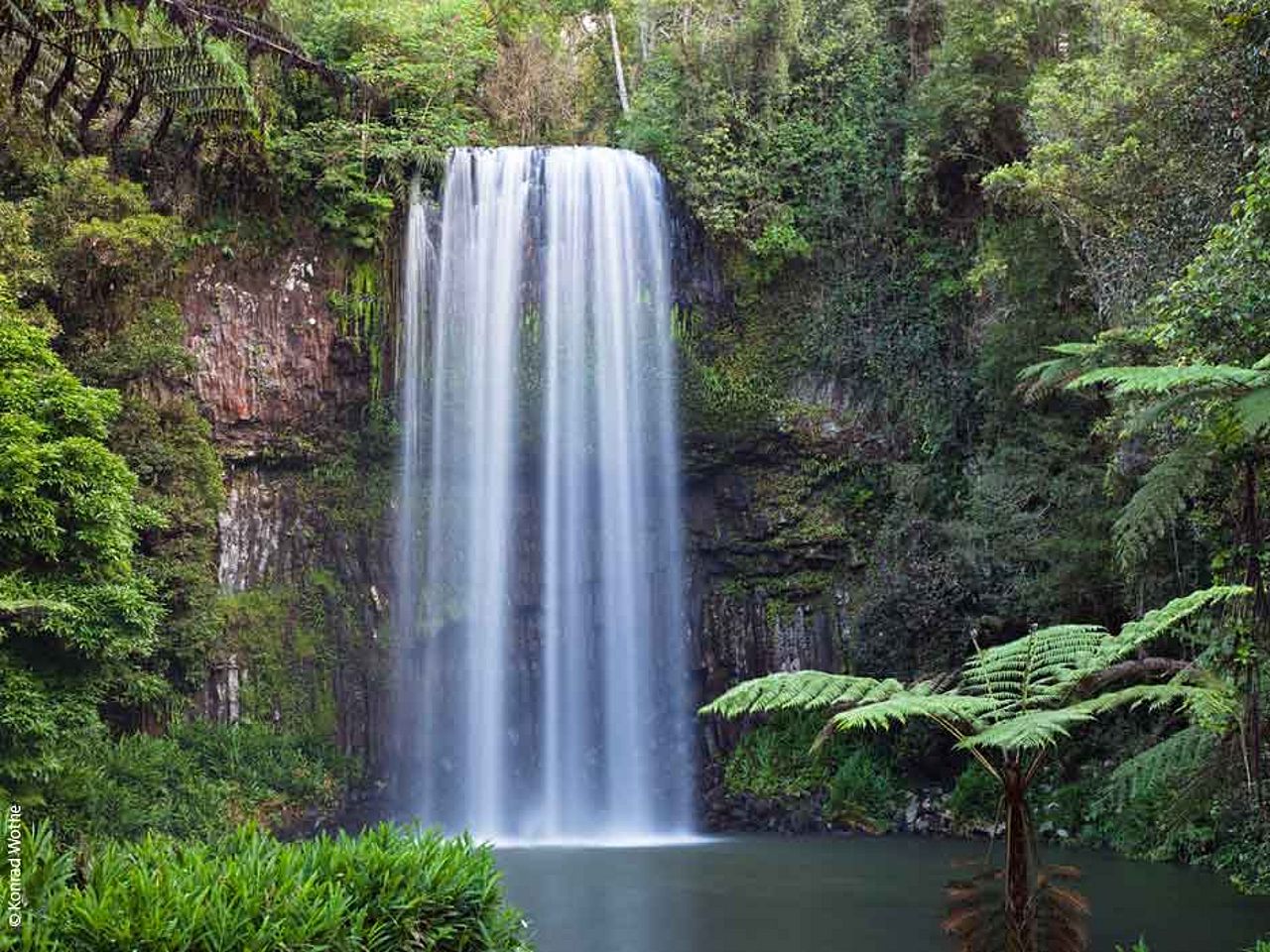 Im Regenwald findet man viele Wasserfälle ©Konrad Wothe