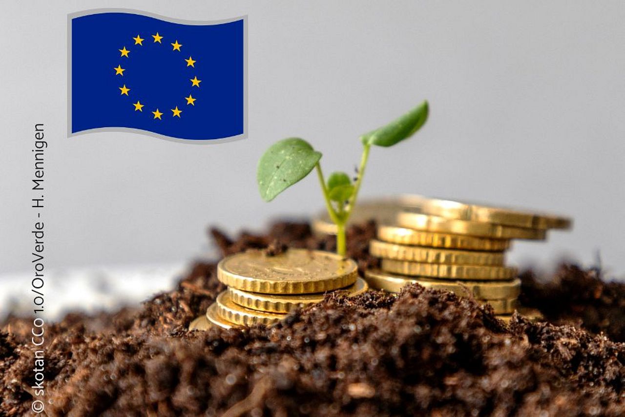 Die EU-Taxonomie soll europaweit einheitliche Kriterien für eine Schlüsselfrage unserer Zeit festlegen: Was ist nachhaltig?