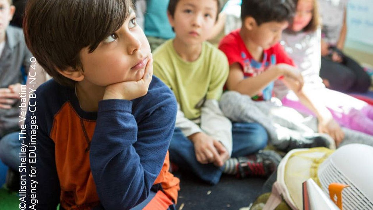 Kind in der Grundschule hört gespannt und neugierig zu. ©Allison Shelley_The Verbatim Agency for EDUimages_CC BY-NC 4.0