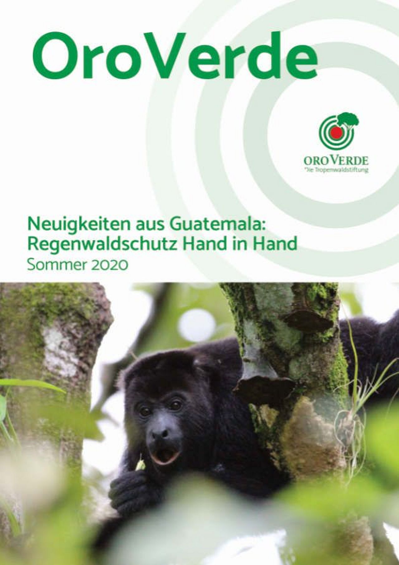 Fortschrittsbericht Guatemala 2020 | Fortschritte im Regenwaldschutz