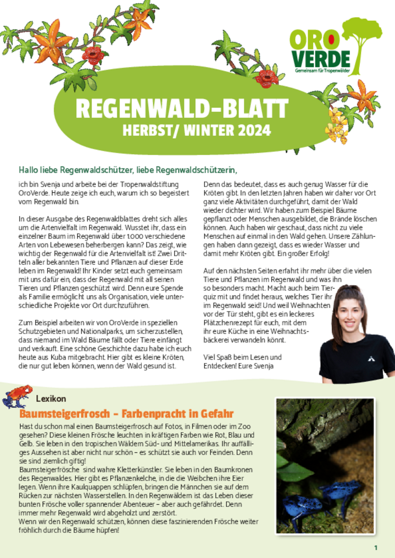 Regenwaldblatt Herbst 2024