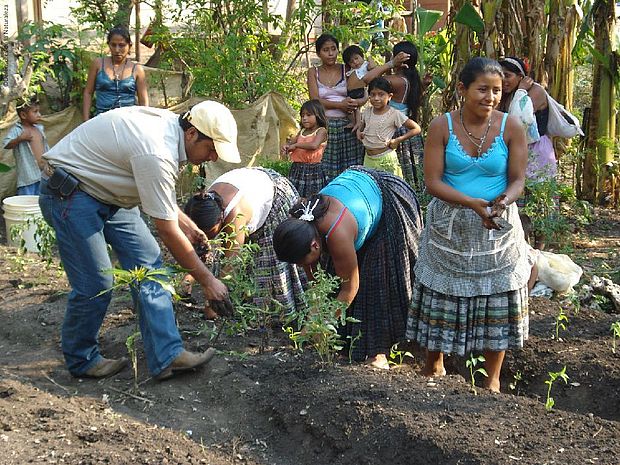 Viele Menschen bestellen den Garten ©Defensores de la Naturaleza