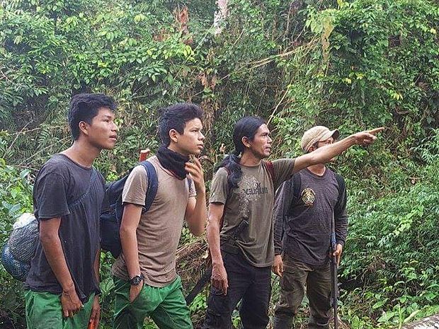 Vier junge indigene Männer stehen im Regenwald und zeigen auf etwas ©Sarayaku