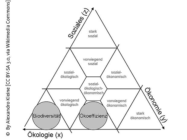 Das Nachhaltigkeitsdreieck zeigt die Dimensionen der Nachhaltigkeit: Ökonomie, Ökologie und Soziales