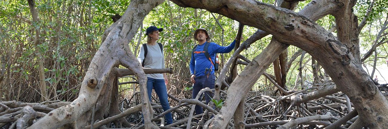 Schutz der Mangroven ©Herbert Dohlen