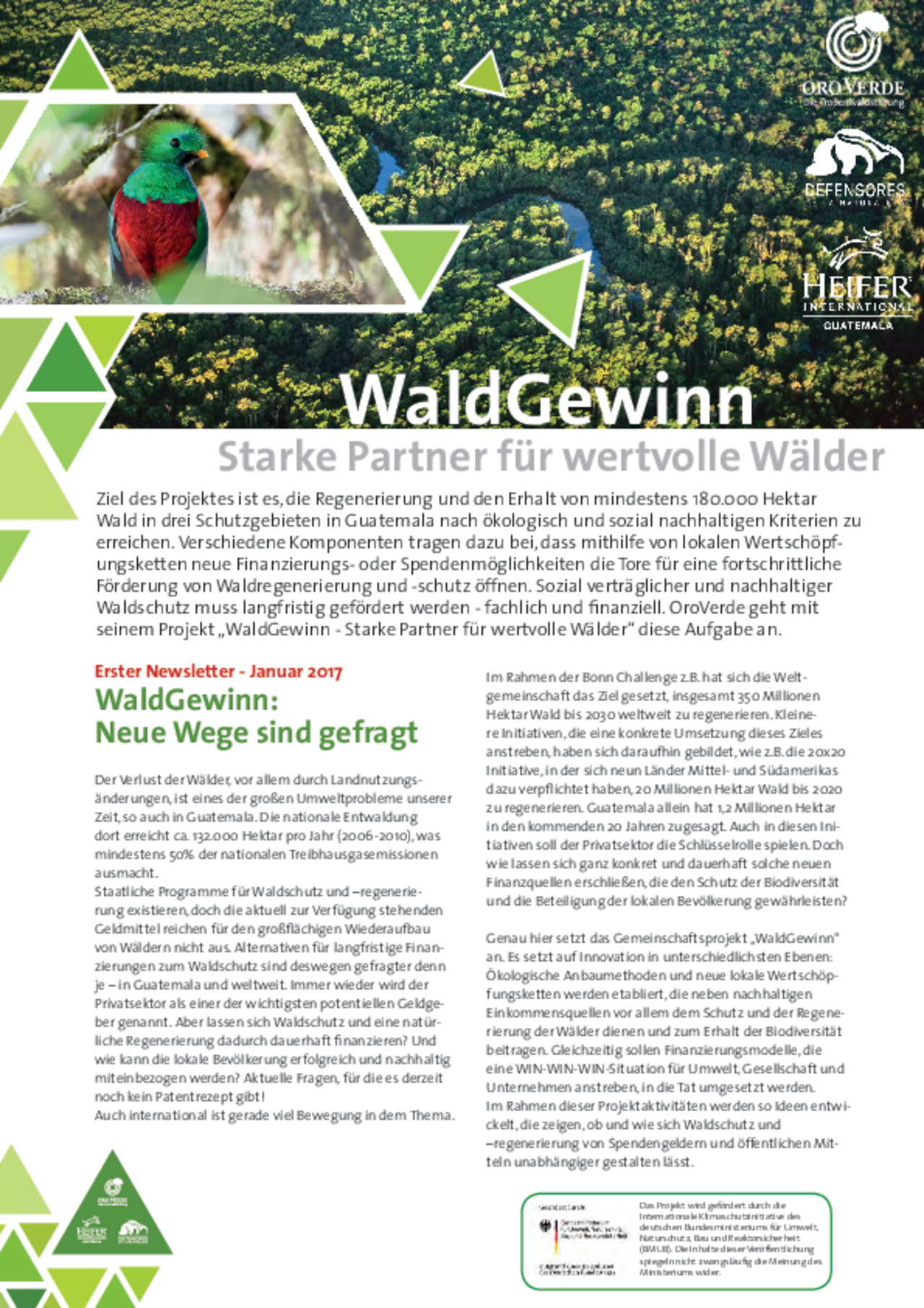 WaldGewinn-Newsletter 1-Waldschutz in Guatemala