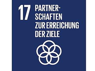 SDG der UN, Partnerschaften zur Erreichung der Ziele 