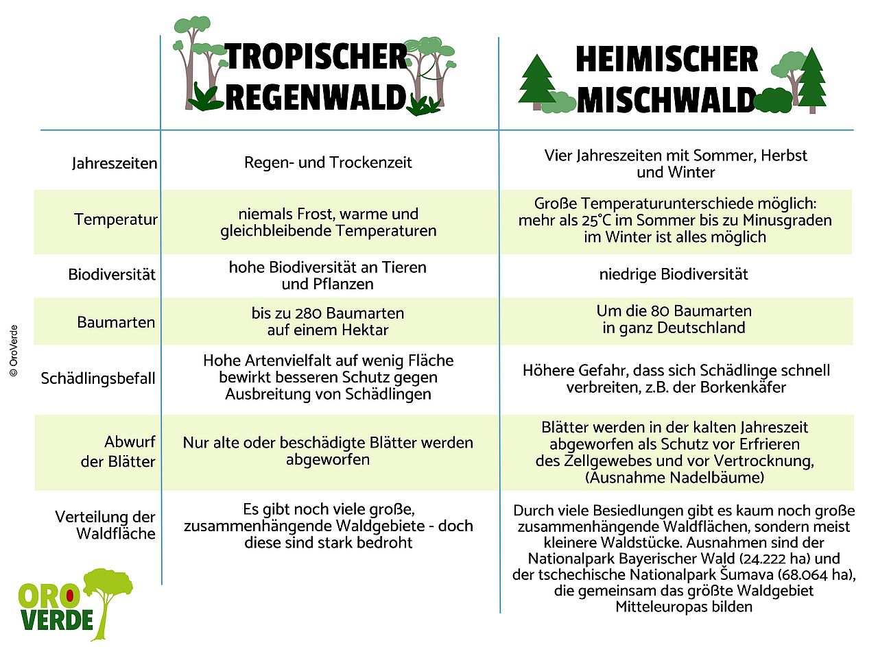 Die Tabelle erklärt den Unterschied zwischen heimischen Wäldern und tropischen Regenwäldern. ©OroVerde
