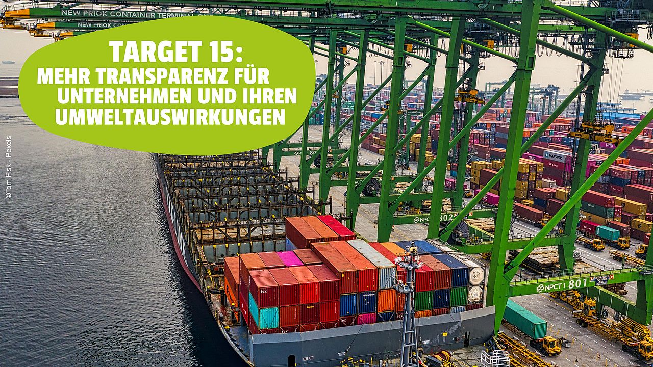 Containerschiff im Hafen ©Pexels