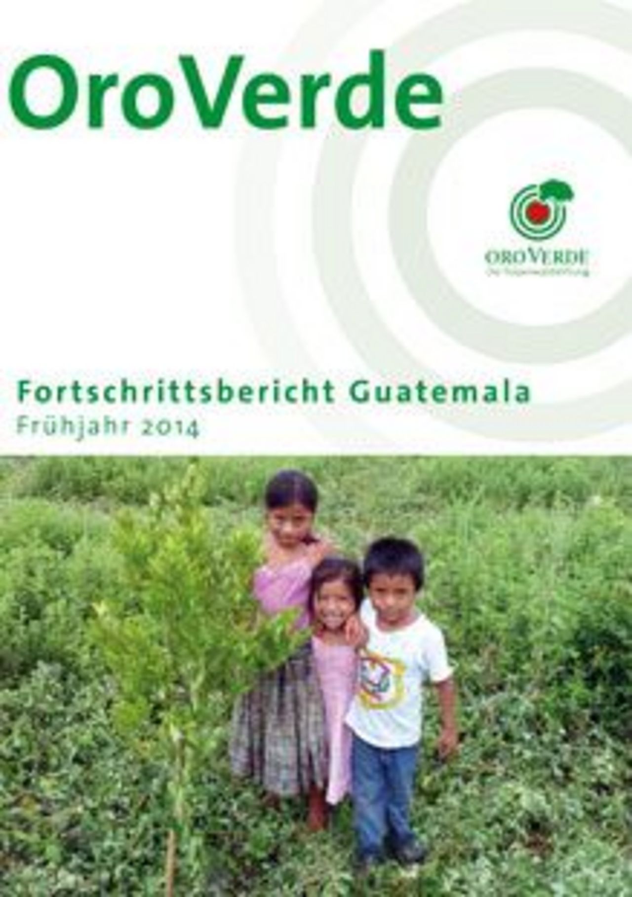Regenwaldschutz mit OroVerde: Projektfortschritte Guatemala 2014