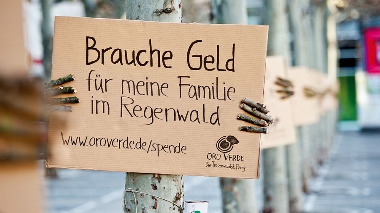 Mitmach-Kampagne "Wenn Bäume sprechen könnten". Machen Sie mit und schaffen Sie mit uns Aufmerksamkeit. ©OroVerde 