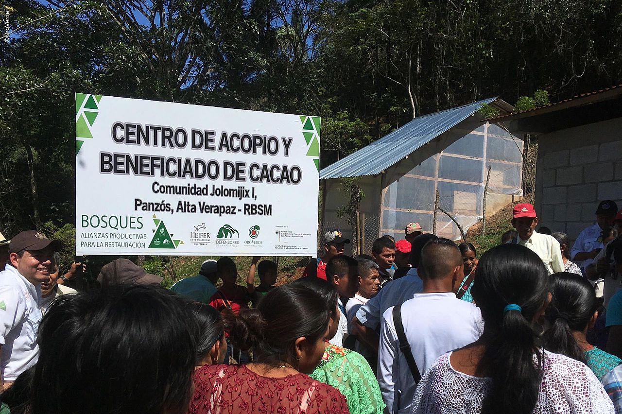 Centro de Acopio y Beneficiado de Cacao ©OroVerde