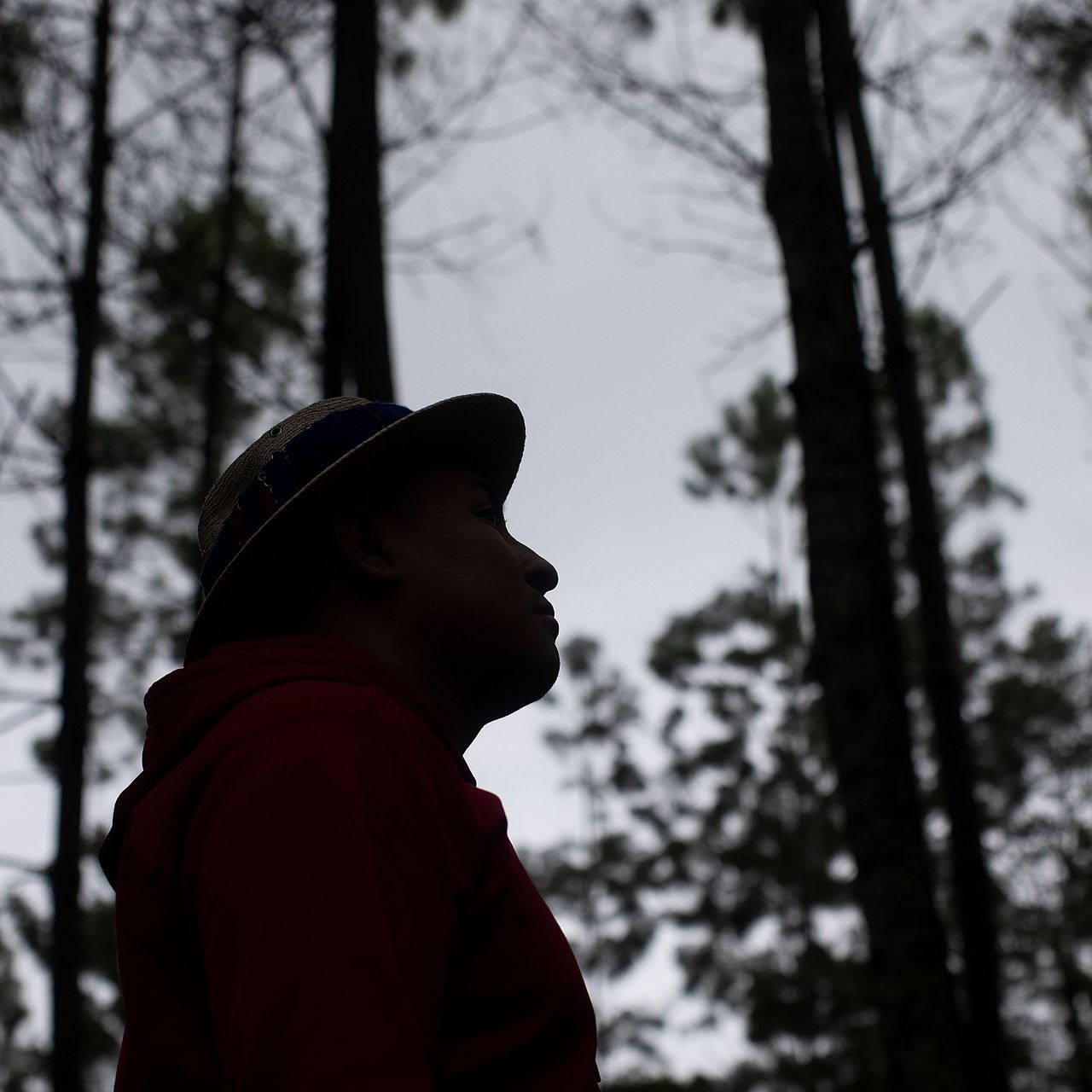 Silhouette eines Mannes im Wald