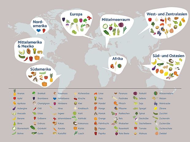 Für jeden Kontinent sind Symbole abgebildet, die Obst und Gemüse darstellen, die von diesem Kontinent stammen. UNten ist eine Legende die die über 60 Symbole erklärt