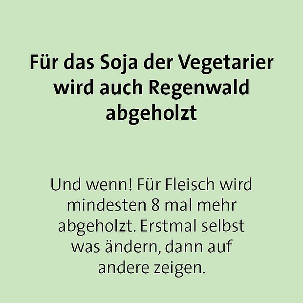 Buzzword-Bingo Karte 7: Für das Soja der Vegetarier*innen wird auch Regenwald abgeholzt