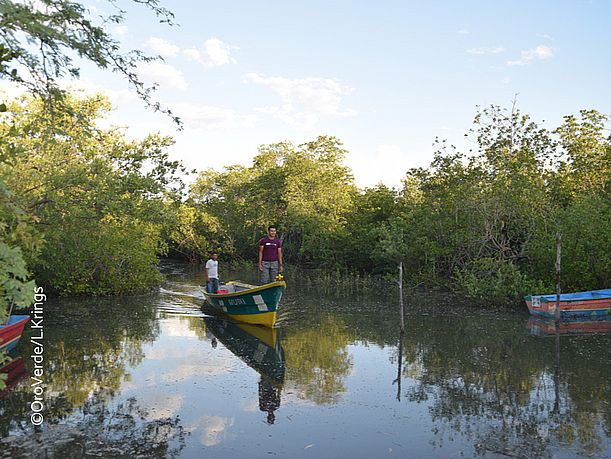 Fischer fahren mit ihrem Boot durch den Mangrovenwald in Honduras. Im Golf von Fonseca hat OroVerde ein Mangrovenschutzprojekt. © OroVerde / Laura Krings
