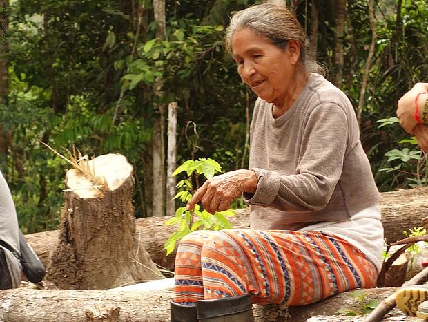 Alte indigene Frau erklärt wichtiges Wissen im Regenwald ©OroVerde - A. Fincke