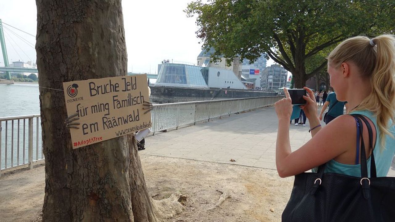 Straßenaktion Adopt a tree in Köln vor dem Schokoladenmuseum.