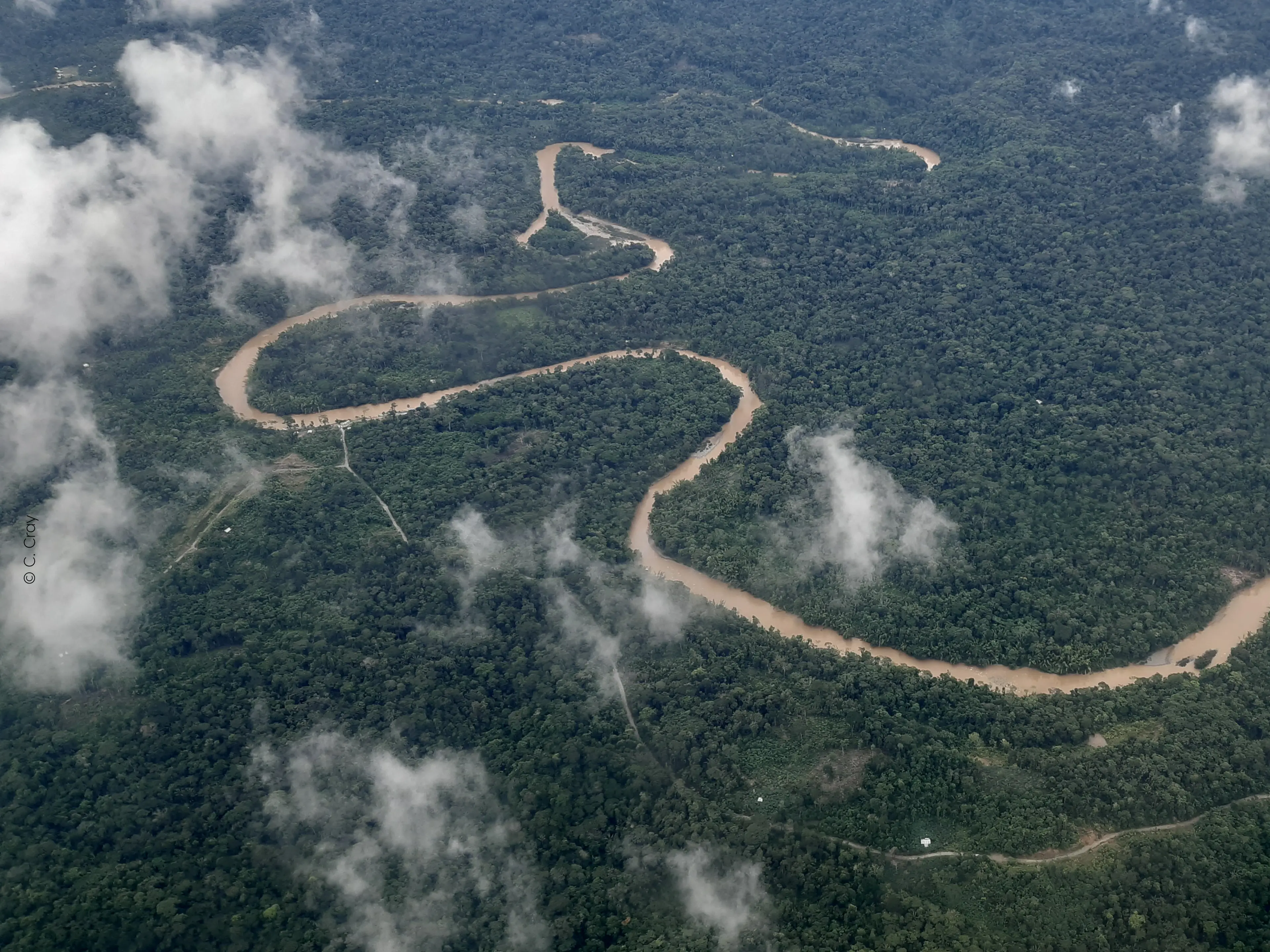 Amazonas Regenwald aus der Vogelperspektive