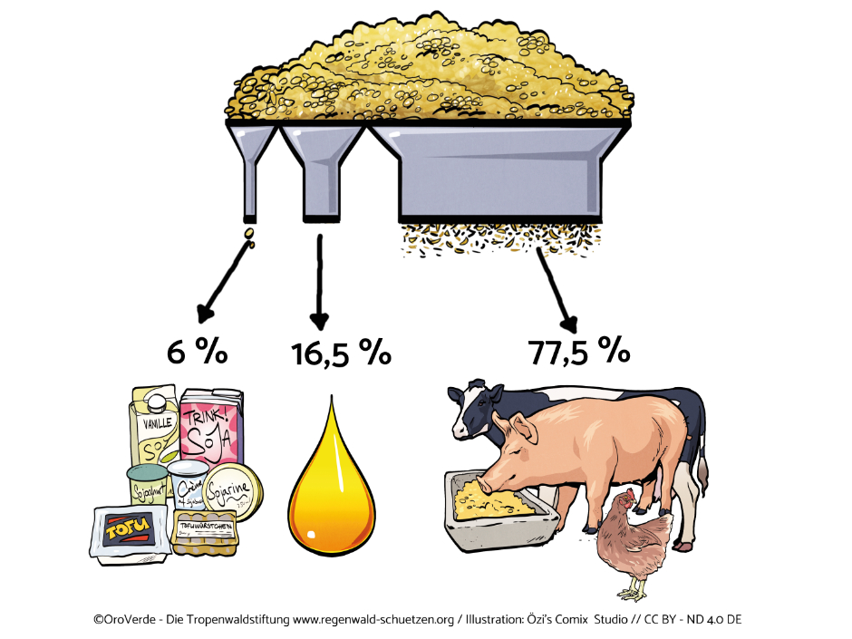 https://www.regenwald-schuetzen.org/fileadmin/user_upload/Bilder/2-regenwaldschutz-im-alltag/verbrauchertipps/soja-fleisch/verwendung-soja-prozentangaben.jpg