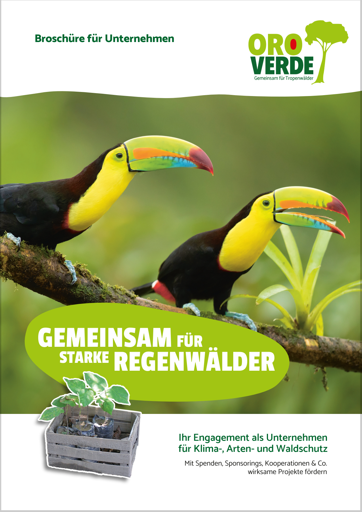 Unternehmensbroschüre – Gemeinsam für starke Regenwälder