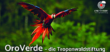 Wer wir sind und was wir machen. OroVerde-Flyer