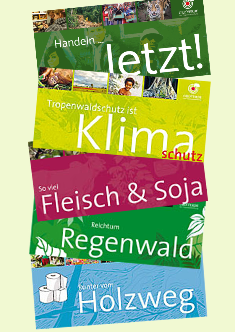 Flyerset für Schüler rund um den Regenwald zu bestellen