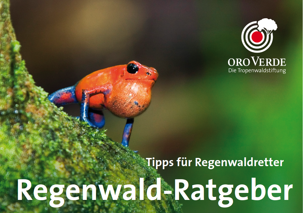 Regenwald-Ratgeber